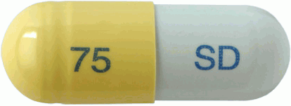 비셀플루캡슐75mg 제품 사진