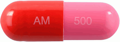 에이목스캡슐500mg 제품 사진