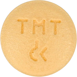 피트메이트정100mg 제품 사진