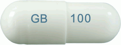 가바스틸캡슐100mg 제품 사진