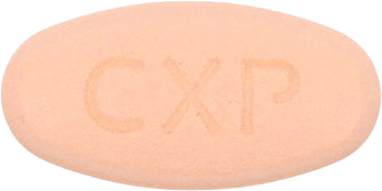 레보투정500mg 제품 사진
