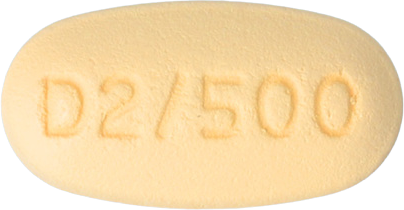 트라글립틴듀오정2.5/500mg 제품 사진