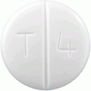 텔미텐션정40mg 제품 사진