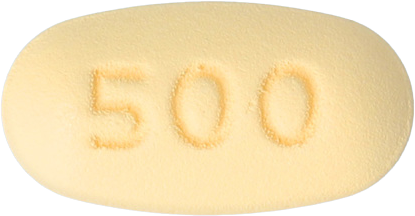 리나엠정2.5/500mg 제품 사진