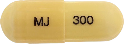 뉴가틴엠캡슐300mg 제품 사진