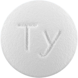 파마티로프라미드염산염정100mg 제품 사진