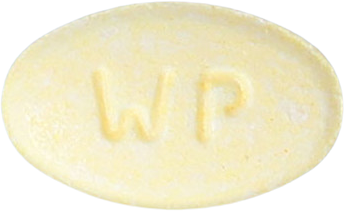 레가바정50mg 제품 사진