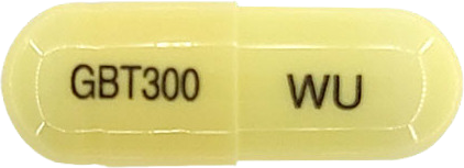위더펜틴캡슐300mg 제품 사진