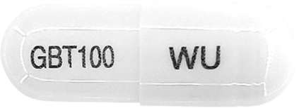 위더펜틴캡슐100mg 제품 사진