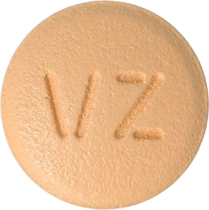 이글립틴정100mg 제품 사진