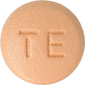 테라비아정100mg 제품 사진