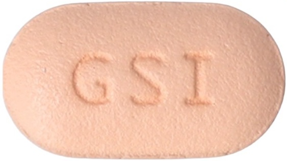 지셀레카정100mg 제품 사진