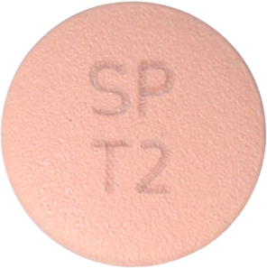 테리글정20mg 제품 사진