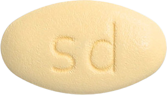 실다파정10/100mg 제품 사진