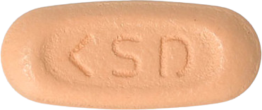 다누시가정10/100mg 제품 사진