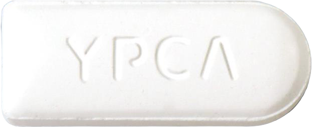 카로마스텐질정100mg 제품 사진
