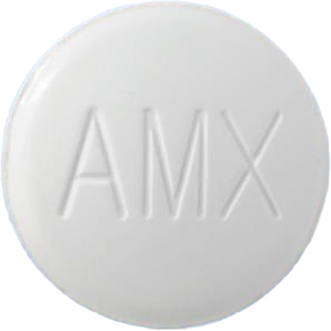 제일알맥스정500mg 제품 사진
