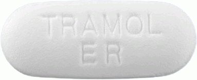 트라몰8시간서방정650mg 제품 사진