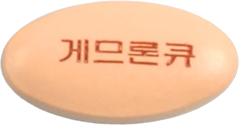 게므론코큐텐정 제품 사진