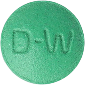 징코모아정120mg 제품 사진