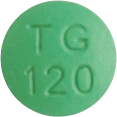 긴코센정120mg 제품 사진