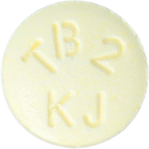 리부트정200mg 제품 사진