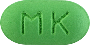 깅고맥스정80mg 제품 사진