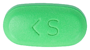 징코에스정240mg_(0.24g/1정) 제품 사진